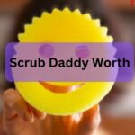 Scrub Daddy Worth – Check Out In 2024!