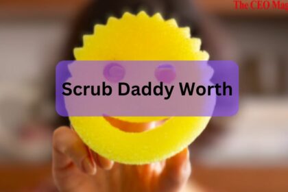 Scrub Daddy Worth – Check Out In 2024!